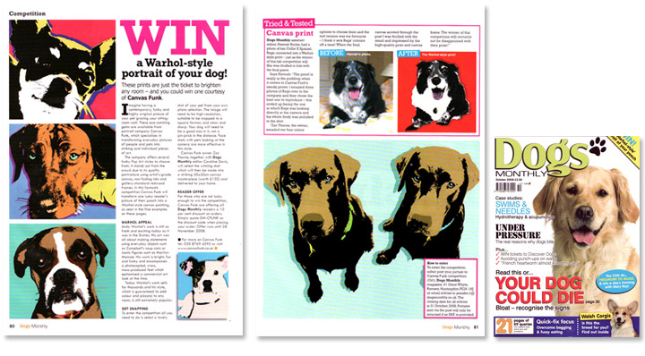 Dogs Monthly Magazine - Canvas Funk created a Pop Art Canvas of Rags in their Tried and Tested section
