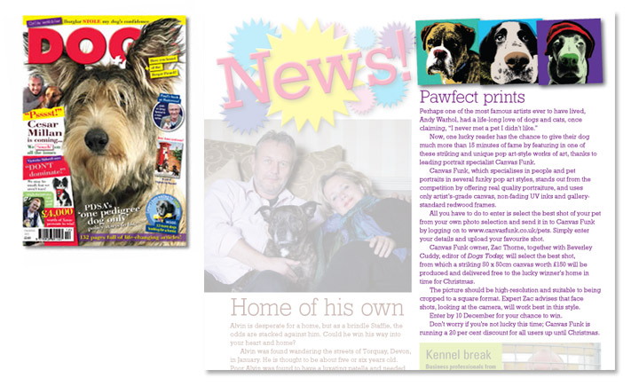 Dogs Today Magazine Press (PR) article 